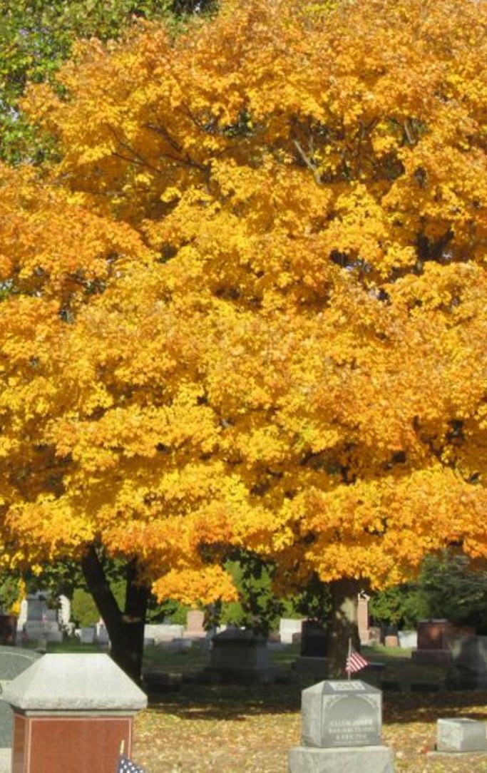 Riverside Cemetery