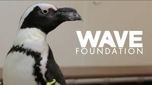 WAVE foundation brings Penguins to visit